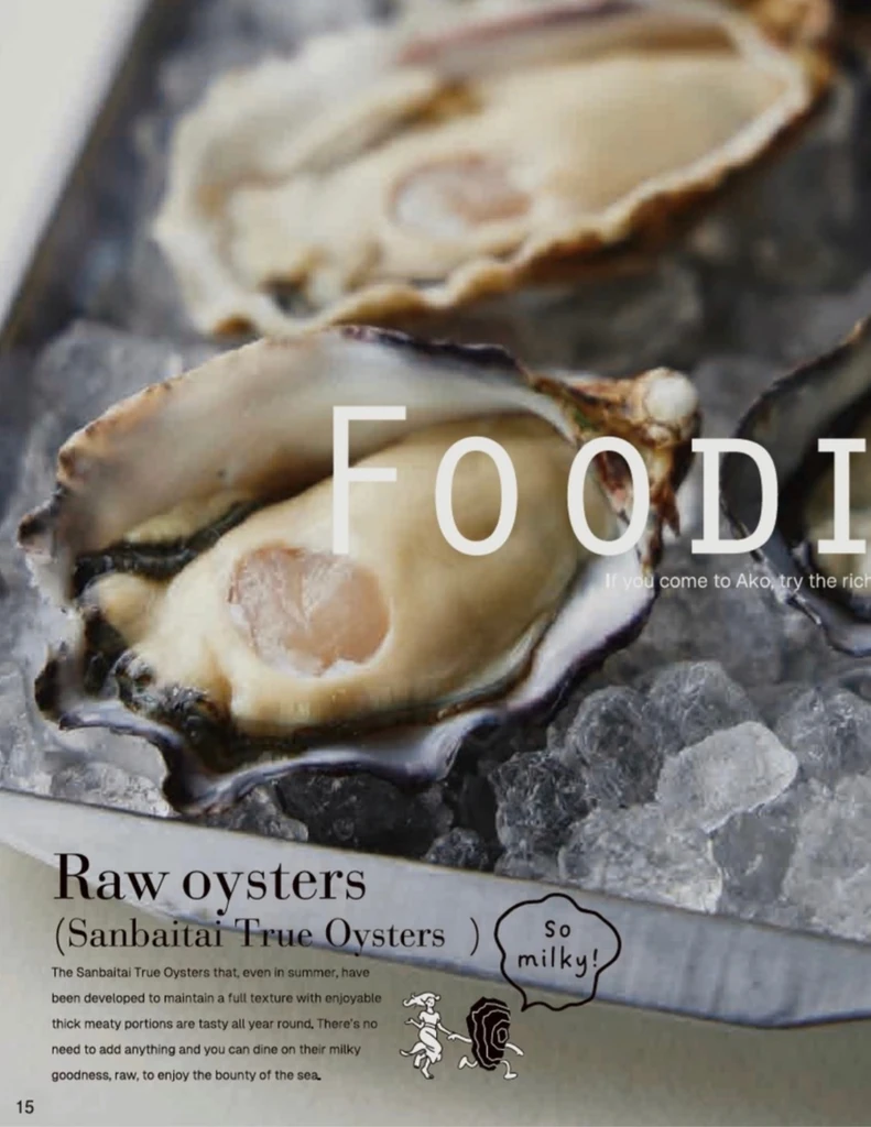 Fresh raw Sanbaitai True Oysters served on ice in Ako.